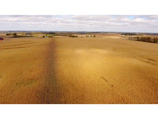 Property photo 8 - IMPORTANT INDIANA LAND AUCTION - 346+/- ACRES - 3 FARMS OFFERED IN 9 TRACTS IN WAYNE COUNTY, INDIANA